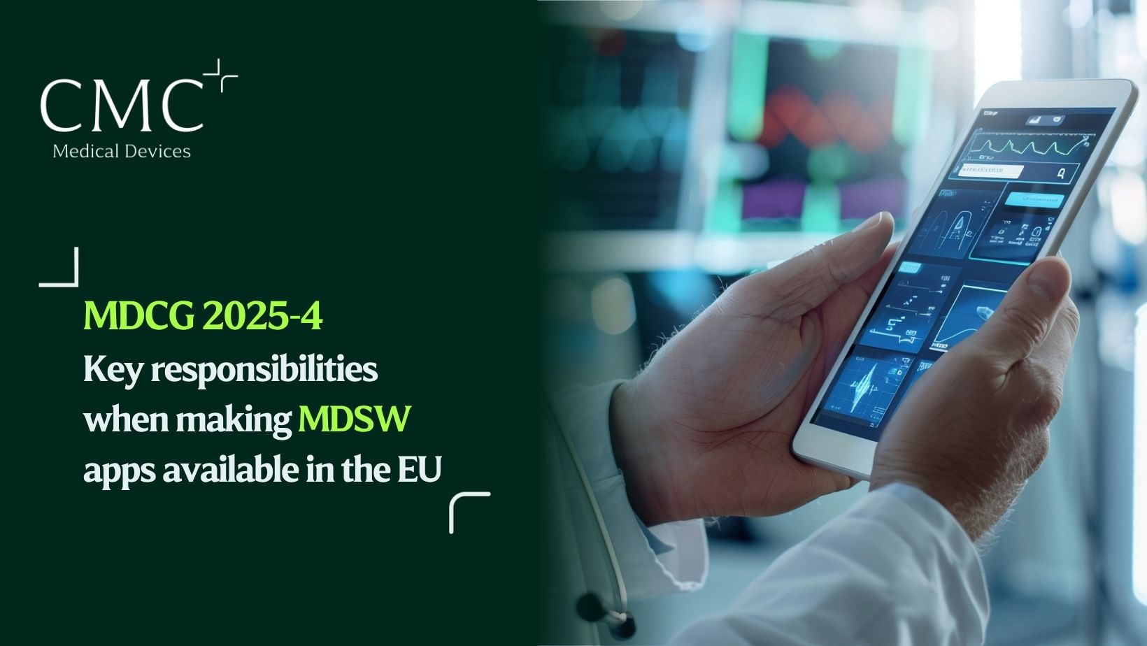 MDCG 2025-4 MDSW